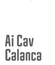 B&B ai Cav B&B ai Cav